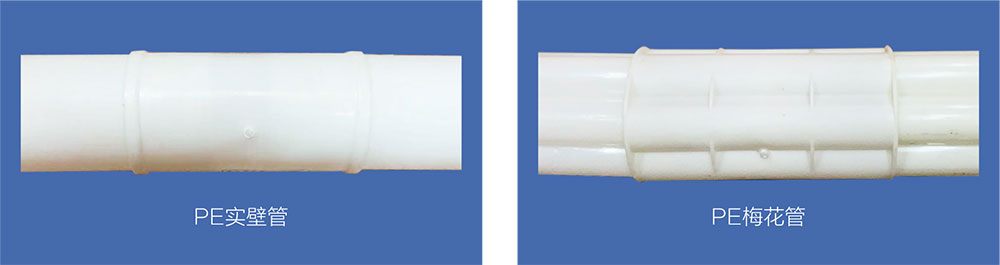 1626247960419128.jpg 1.jpg